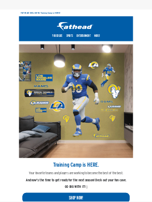 Fathead - 'Tis the season: NFL Training Camp is here! 🏈