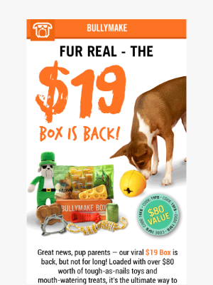 BULLYMAKE - Only $19? Fur Real!? 🤯