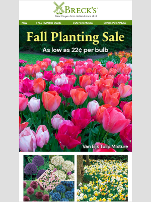 Breck’s Bulbs - 😊 Flowering plants as low as 22 cents per bulb!