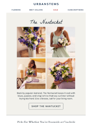 UrbanStems - The comeback you deserve