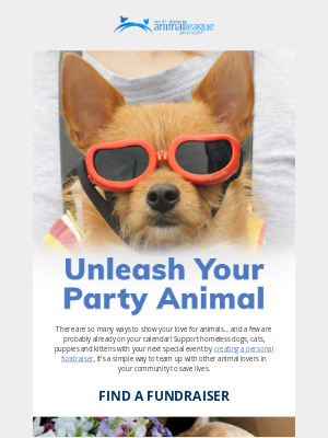 Animal League - Unleash your party animal 🎉