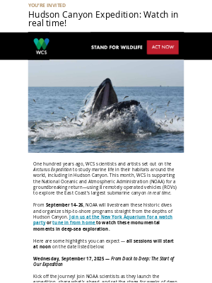 Wildlife Conservation Society - [WATCH PARTY INVITE] 🎬 A livestream from the depths of the Hudson Canyon!