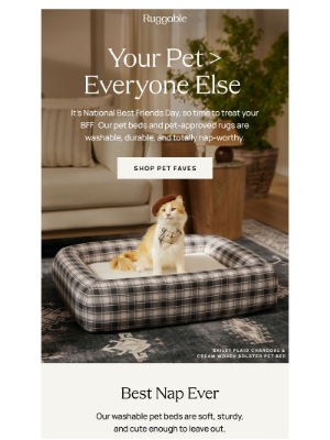 Ruggable - Pet-approved picks inside 🐾