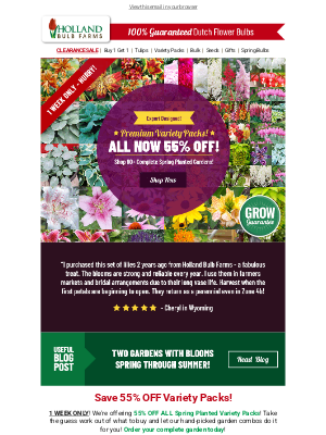 Holland Bulb Farms - 90+ Spring Variety Packs 55% OFF 🌼 1 WEEK!