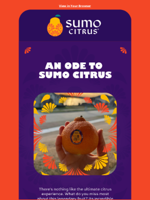 Sumo Citrus - The Sumo Citrus (Growing) Season Never Stops