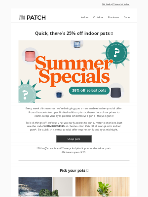 Patch Plants (UK) - Get 25% off indoor pots 🎉