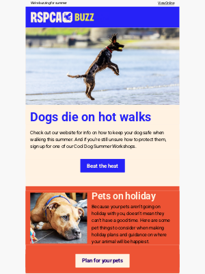 RSPCA (United Kingdom) - Think about animals this summer
