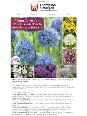 Thompson & Morgan (United Kingdom) - 105 Alliums ONLY £6!