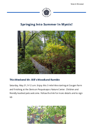Mystic Knotwork - Mystic Spring Fair, Nearby Hiking, Dog Toys, Easy Macramé Bracelet