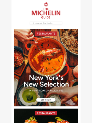 Michelin Group - Newest Selections