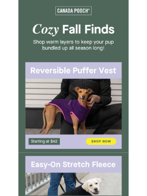 Canada Pooch - Affordable Layers to Keep Your Pup Cozy!