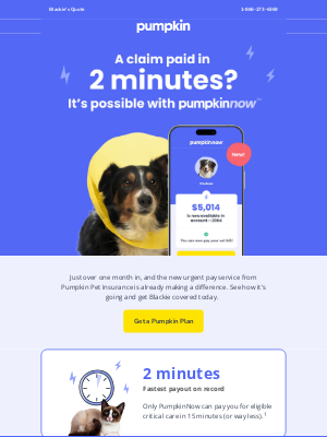 Pumpkin Petcare - Fastest. Payout. Ever. ⚡