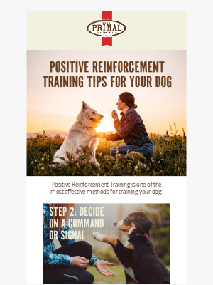 Primal Pet Foods - Strengthen Your Bond with Positive Pet Training 🐶