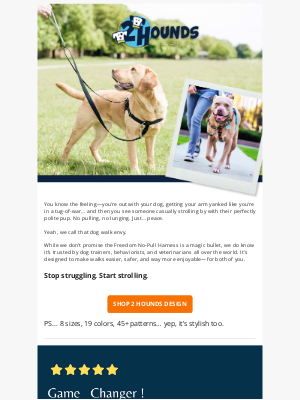 Hot Dog Collars - Dog walk envy is real