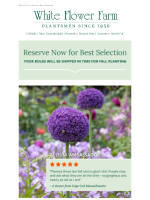 White Flower Farm - 5-Star Bulb Favorites for Fall Planting