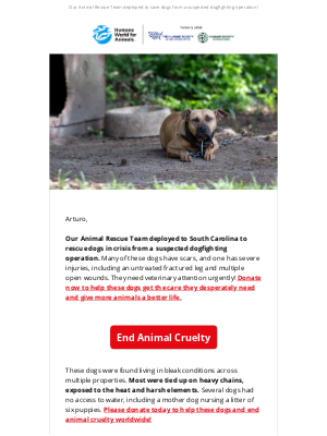 Humane Society of the United States - Breaking: Shocking dogfighting rescue