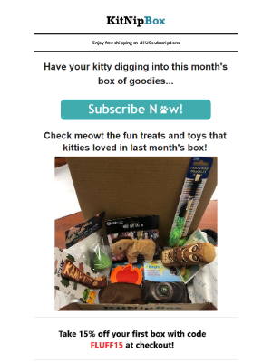 KitNipBox - Here's What You Missed Last Month 😻👍