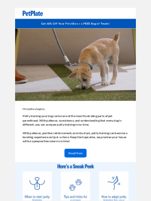 PetPlate - Potty Training Tips for a Happy Pup! 🌟