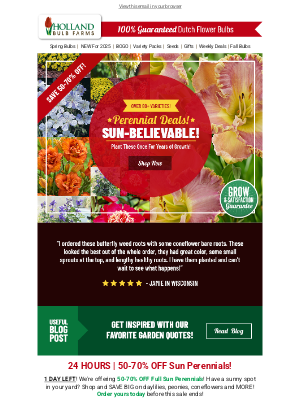Holland Bulb Farms - 24 HOURS 😎 Sun-Believable Prices on Perennials!