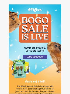 Fetch Pet Products - The BOGO Squeak Sale Is Live!