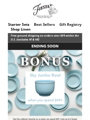Fiesta Dinnerware - ending soon: Sky BONUS ☁️