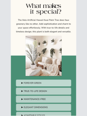 artiplanto - Back in Stock: The Xelo Hawaii You’ve Been Waiting For!