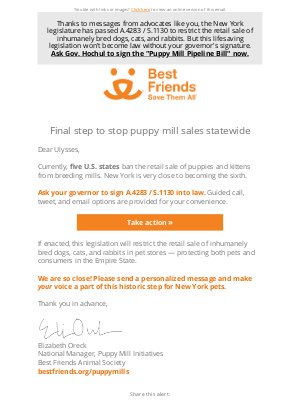 Related Email 2