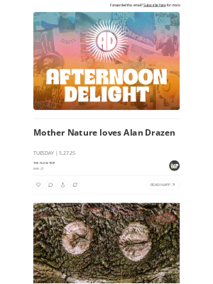 Whalebone - Mother Nature loves Alan Drazen ☀️