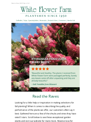 White Flower Farm - 5-Star Shrubs & Vines for Fall Planting