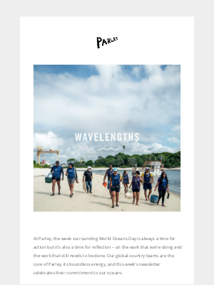 Parley - World Oceans Week reflections from our global teams
