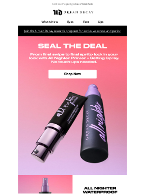 Urban Decay - Lock in Your Look with All Nighter