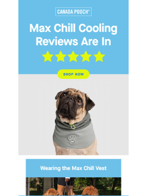 Pet parents love our new & improved cooling gear!