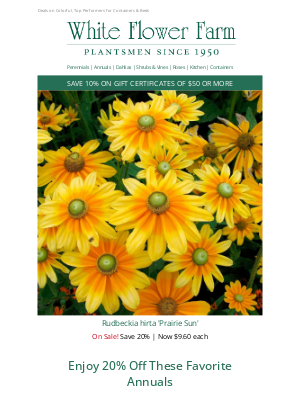 White Flower Farm - Save 20% on Annuals for Potting & Planting