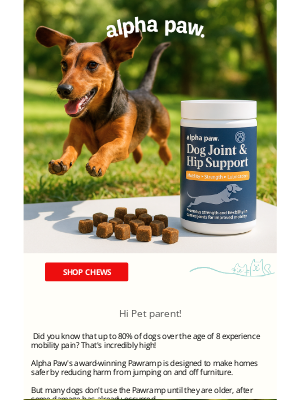 Alpha Paw - 🐾 The Secret to Endless Zoomies? These Chews