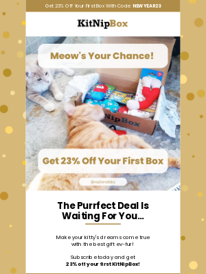 KitNipBox - A box full of ha-purr-ness (and catnip) 🙀