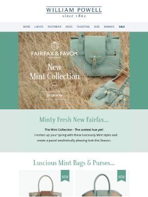 William Powell - Fairfax & Favor's Coolest Hue Yet! ✨