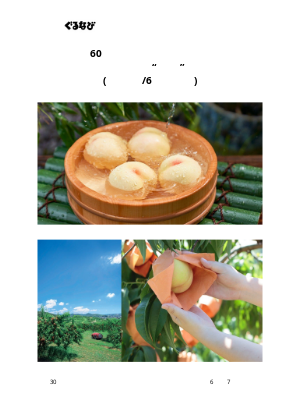 Gurunavi Inc. (Japan) - 【早期受注割引】岡山県産 桃里庵の“一番出し”白桃2kg 5,999円_6月下旬以降発送【全国送料無料】