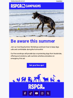 RSPCA (United Kingdom) - Join our free Cool Dog Summer Workshops