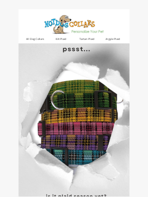 Hot Dog Collars - Mad About Plaid?  Us too!