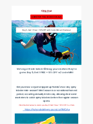 Holy Crab Delivery - Florida Lobster Mini-Season!