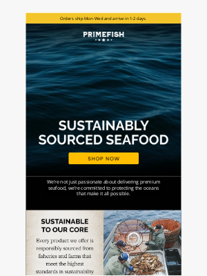 PrimeFish Seafood Co. - Sustainable Fishing This World Oceans Day