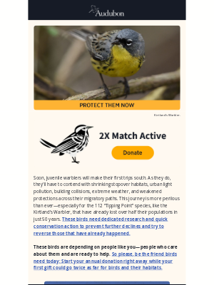 National Audubon Society - Will you be the friend birds need today? (2X match inside)