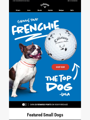 Callaway Golf - Shop The Top Dog | Chrome Tour Frenchie