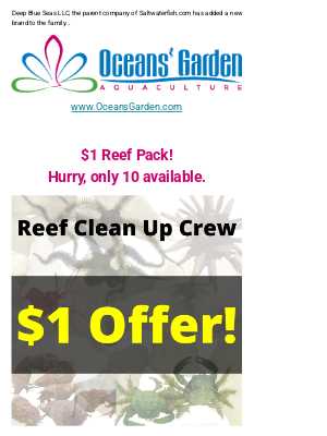 Saltwaterfish - 🐠🦀$1 Reef Clean Up Crew @ Oceansgarden.com