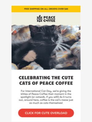 Peace Coffee - 🐱❤️ Celebrating our love of cats with 25% off