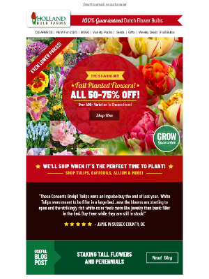 Holland Bulb Farms - EARLY BIRD DEALS ⏰ 50-75% OFF ALL Fall Bulbs!