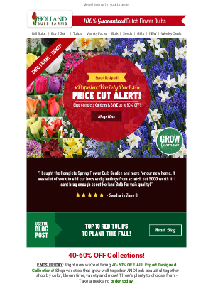 Holland Bulb Farms - PRICE DROP ⌛ Variety Pack Deals END FRIDAY!