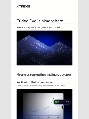 Tridge - Tridge Eye is almost here