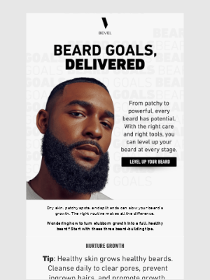 BEVEL - Growing a Beard? Master Every Stage.