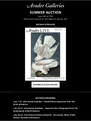 Donghia - Arader Galleries SUMMER AUCTION - Bidding Open Now